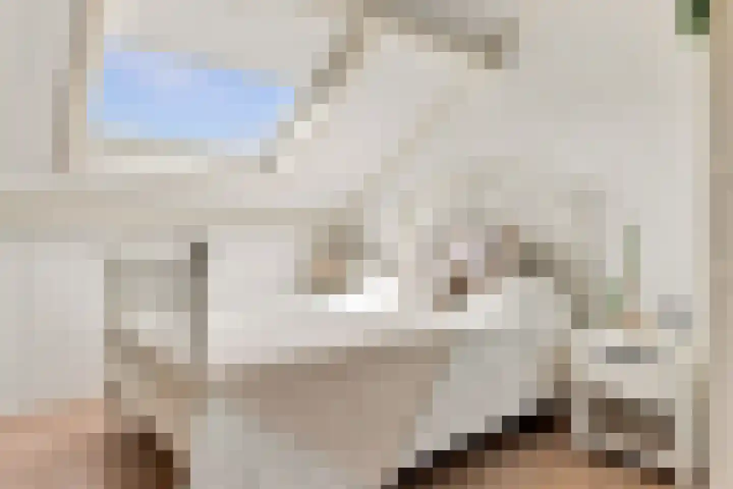 Ringmus 9 Heemskerk thumbnail 42