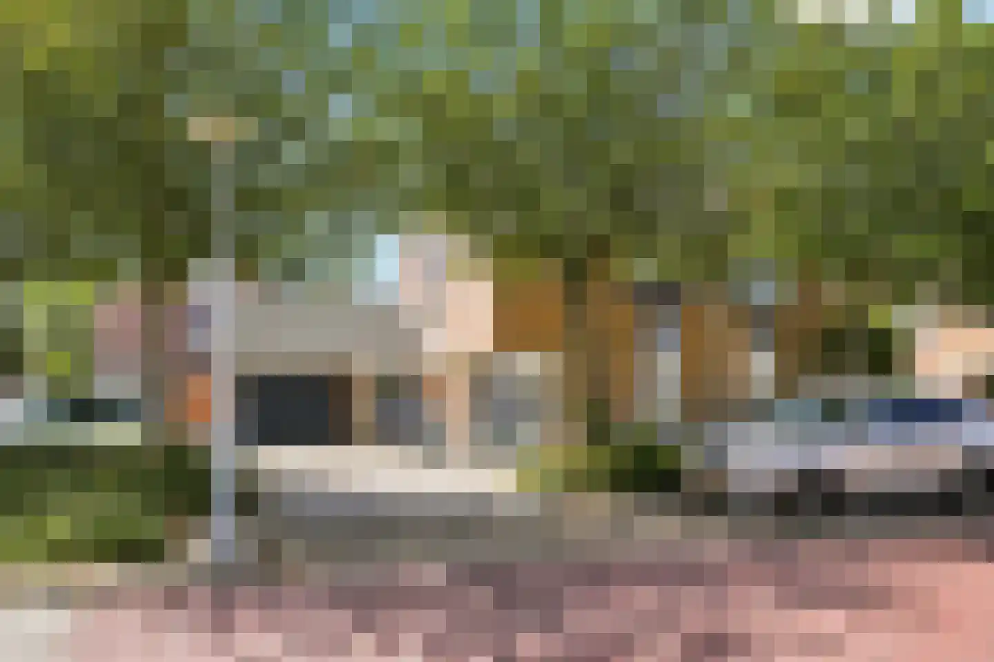Ringmus 9 Heemskerk thumbnail 49