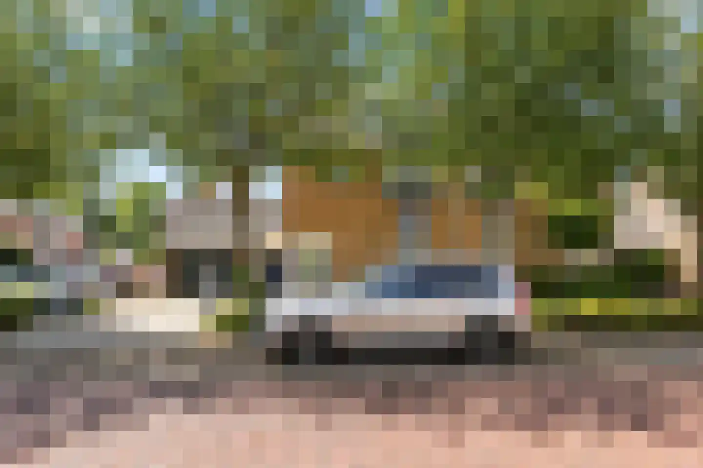 Ringmus 9 Heemskerk thumbnail 50