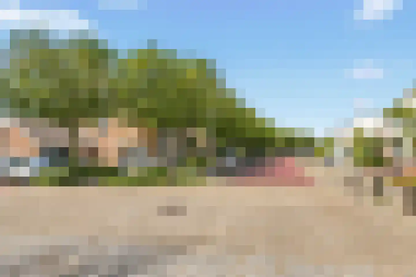 Ringmus 9 Heemskerk thumbnail 51