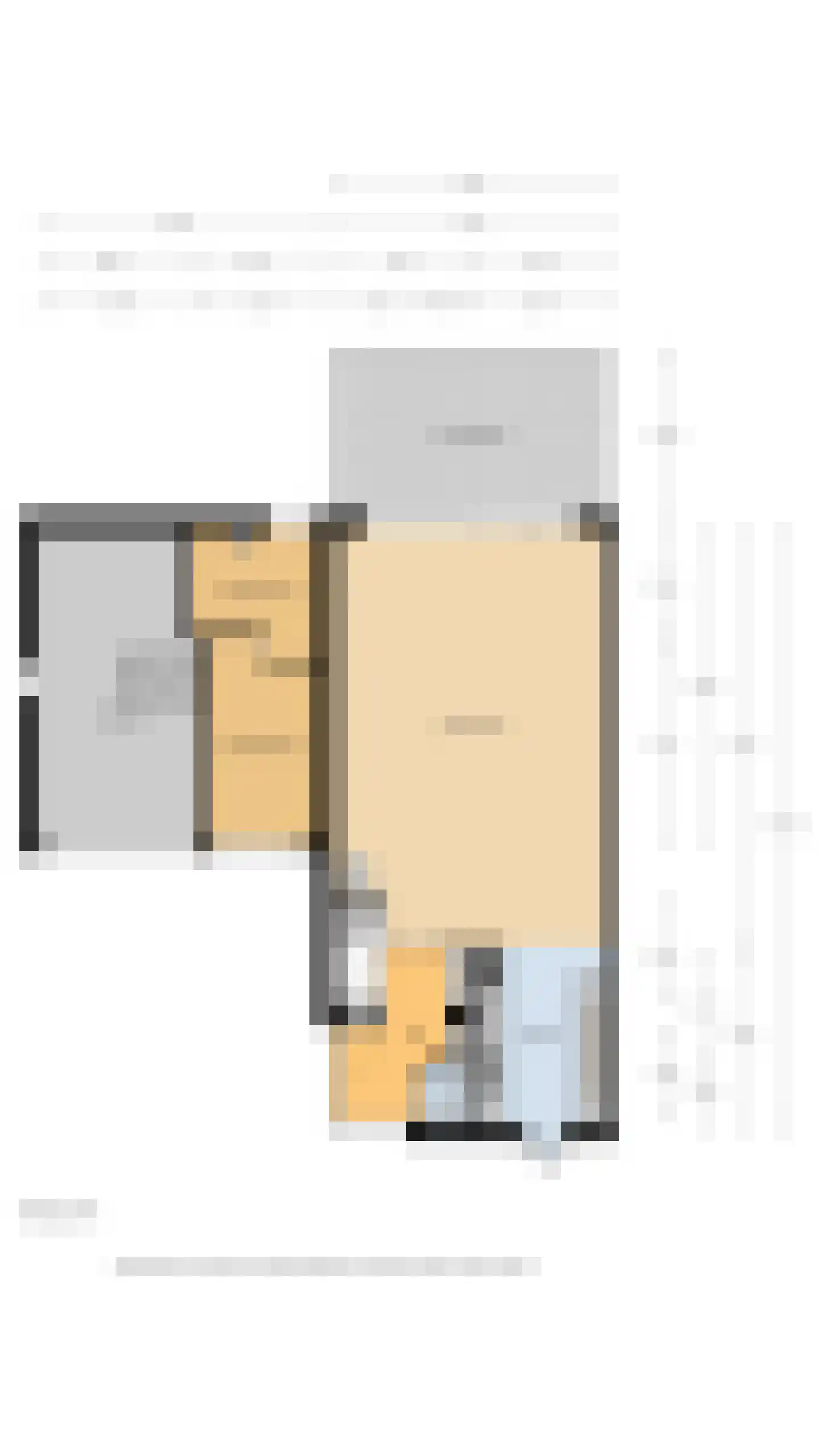 Ringmus 9 Heemskerk thumbnail 52
