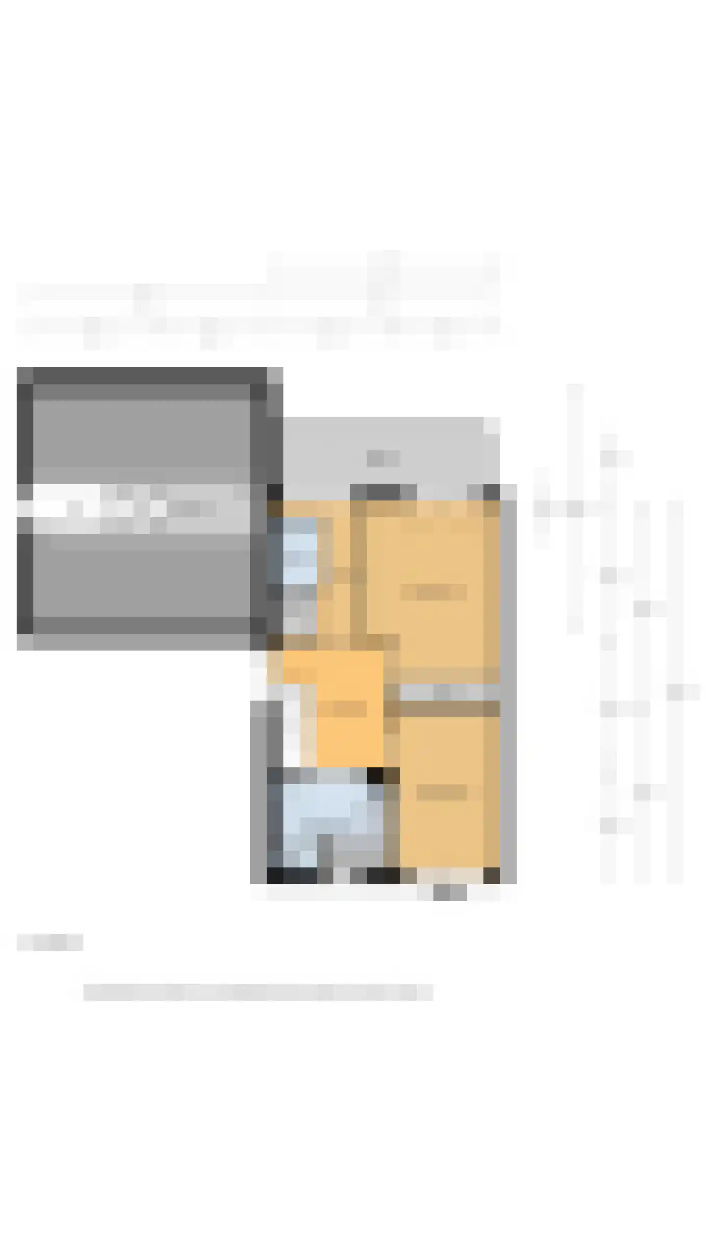 Ringmus 9 Heemskerk thumbnail 54