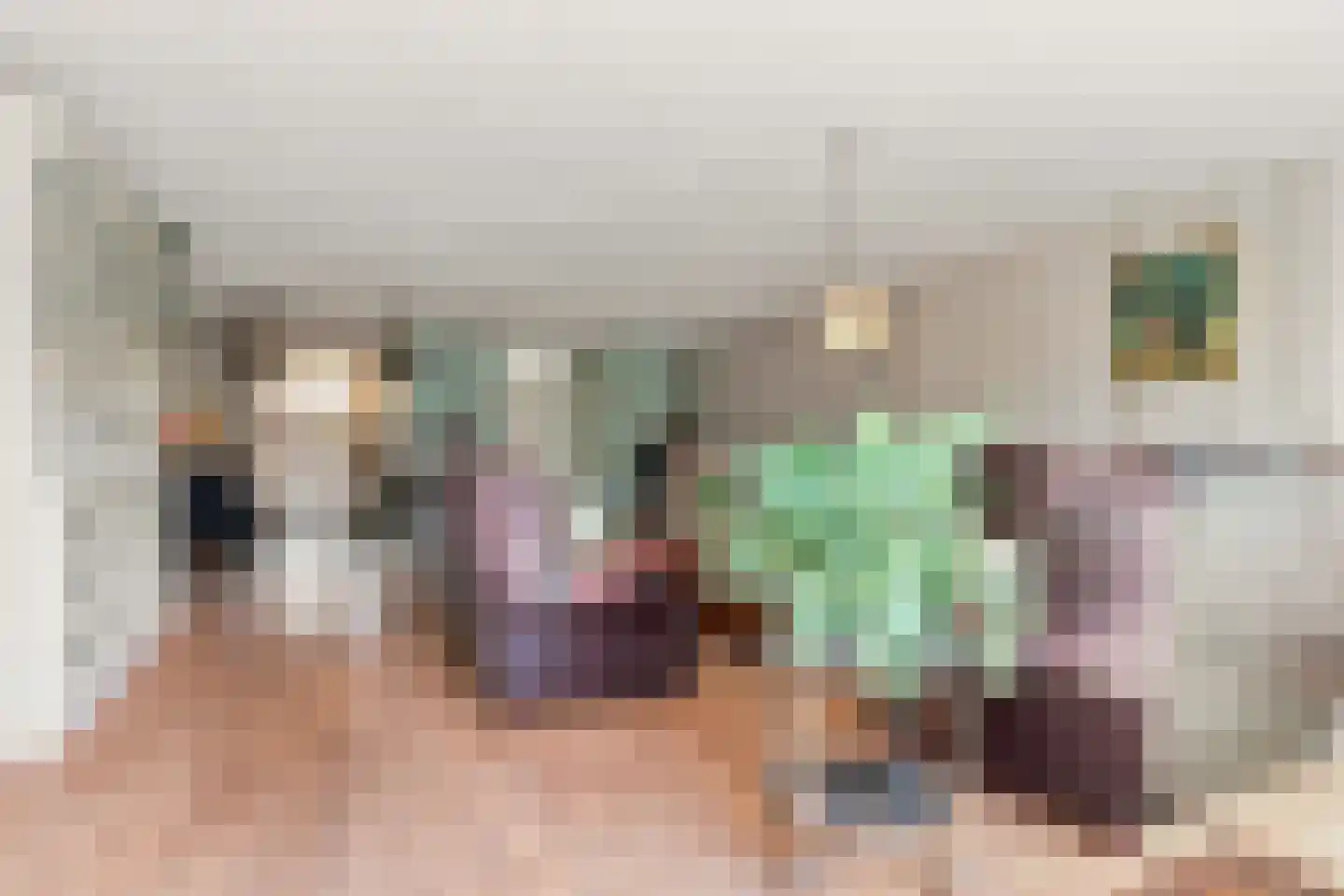 Ringmus 9 Heemskerk thumbnail 6