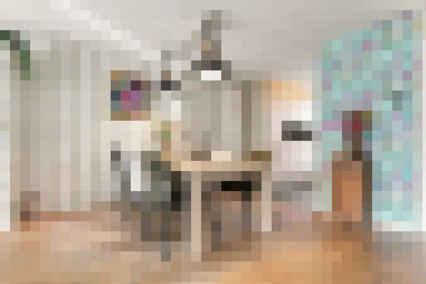 Ringmus 9 Heemskerk thumbnail 8