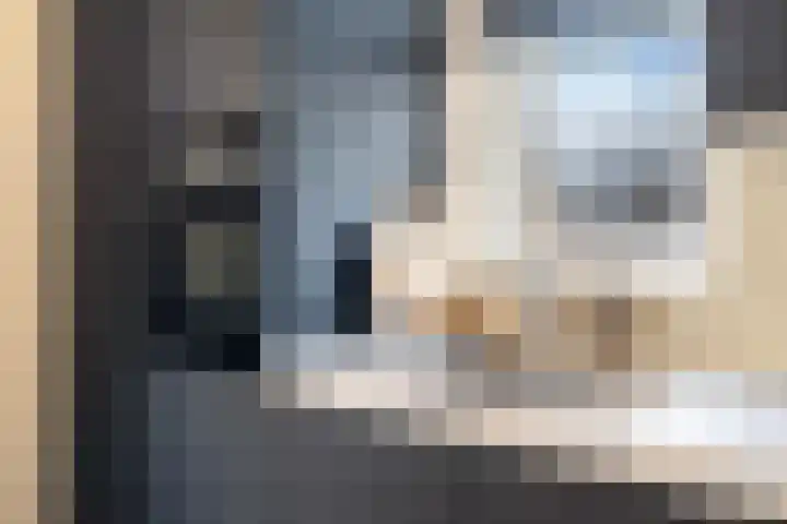 Ringmuslande 7 Pijnacker thumbnail 12