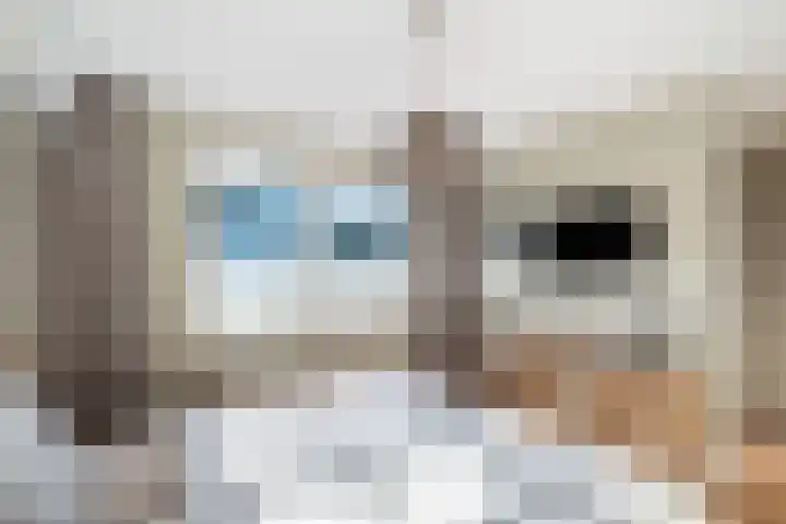 Ringmuslande 7 Pijnacker thumbnail 18