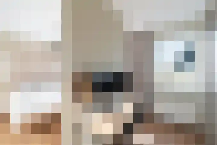 Ringmuslande 7 Pijnacker thumbnail 19