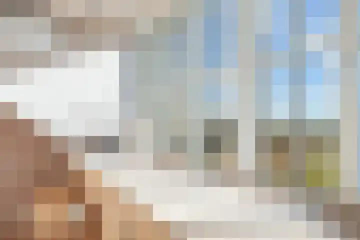 Ringmuslande 7 Pijnacker thumbnail 28