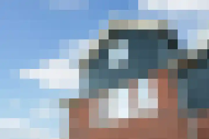 Ringmuslande 7 Pijnacker thumbnail 30