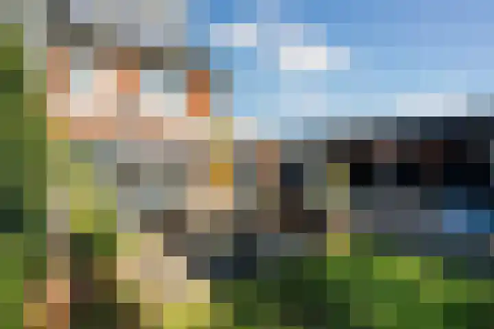 Ringmuslande 7 Pijnacker thumbnail 4