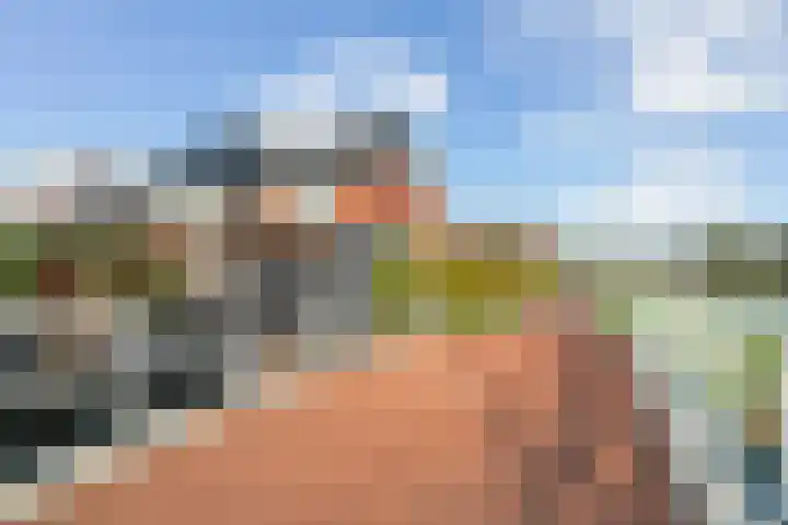 Ringmuslande 7 Pijnacker thumbnail 44