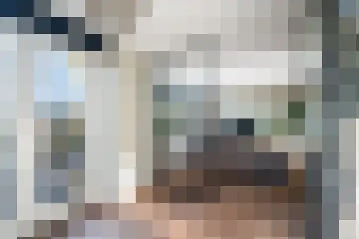 Ringmuslande 7 Pijnacker thumbnail 8