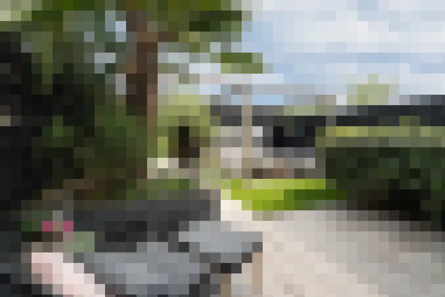 Ringmuslande 9 Pijnacker thumbnail 35