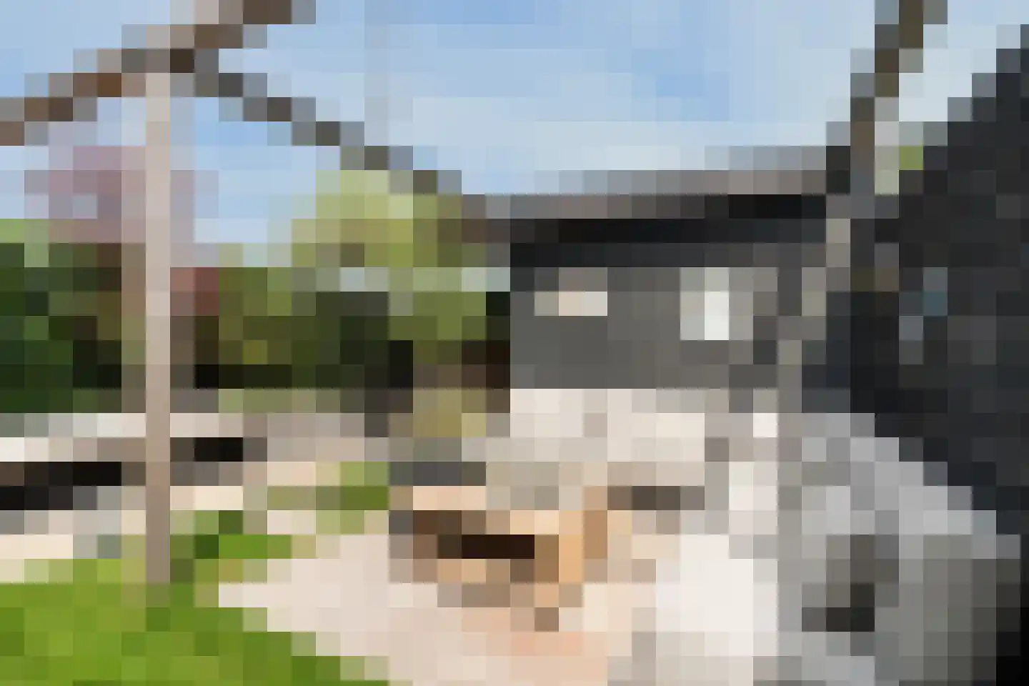 Ringmuslande 9 Pijnacker thumbnail 37