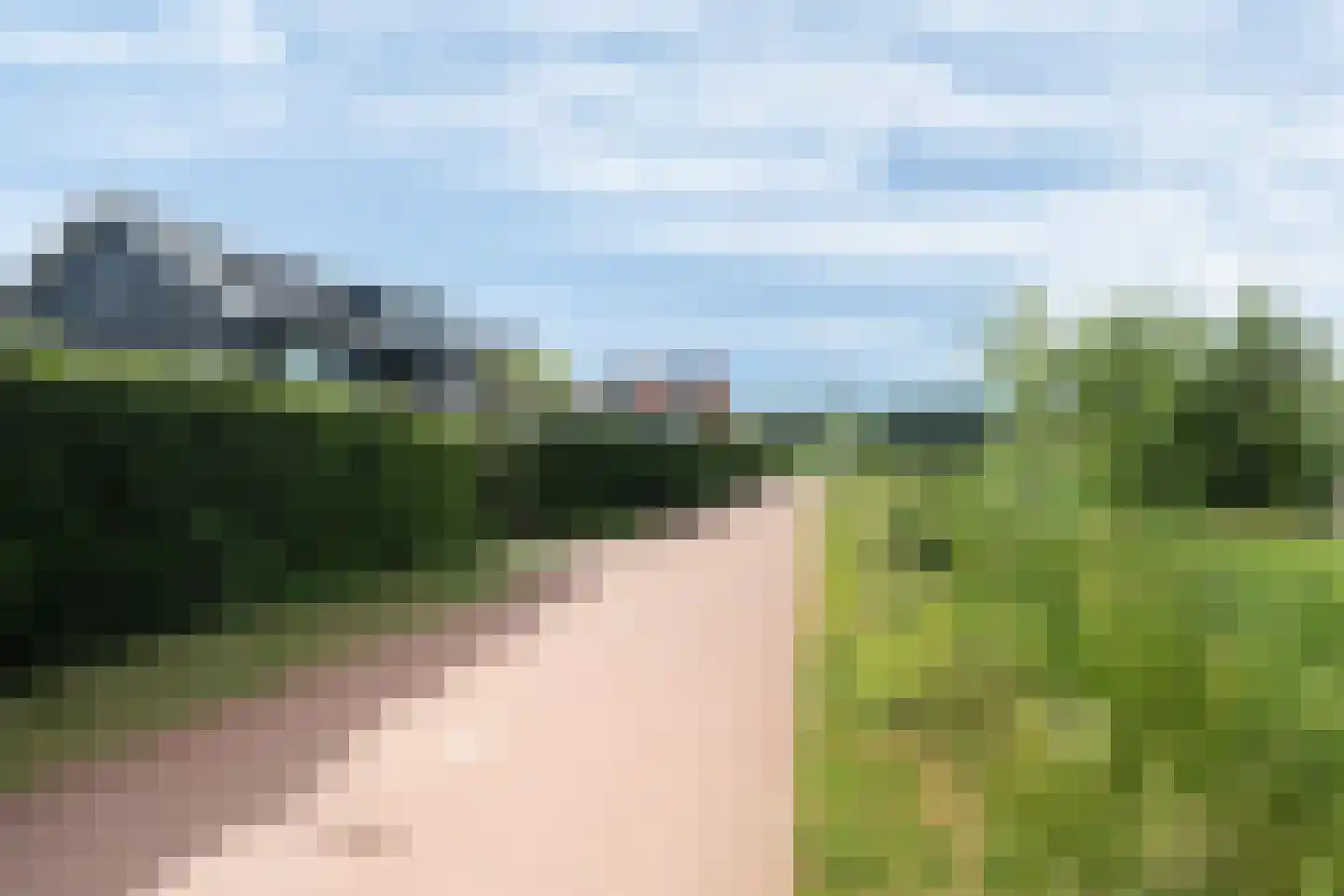 Ringmuslande 9 Pijnacker thumbnail 43