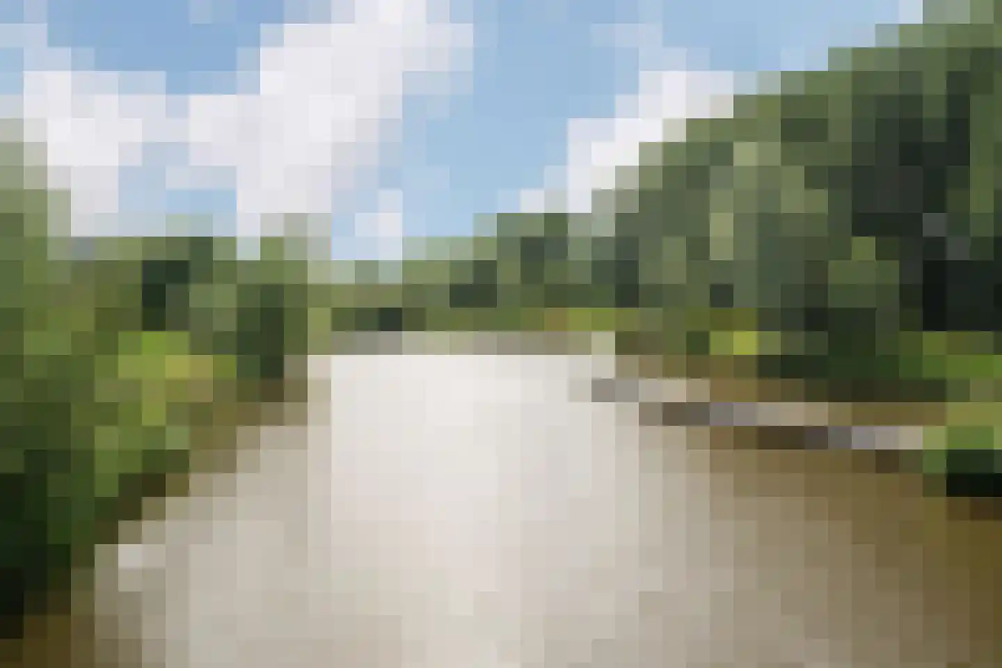 Ringmuslande 9 Pijnacker thumbnail 44