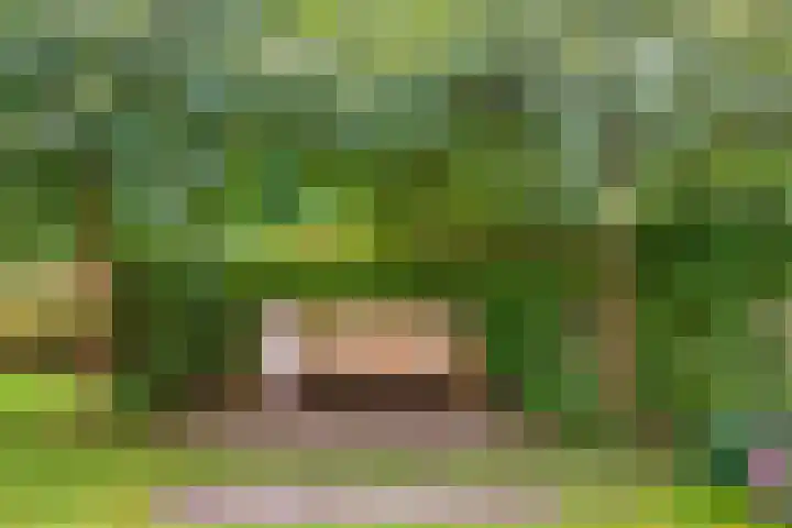 Ringmuur 10 Buren thumbnail 10