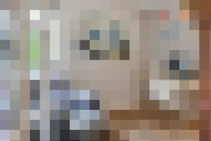 Ringmuur 10 Buren thumbnail 17