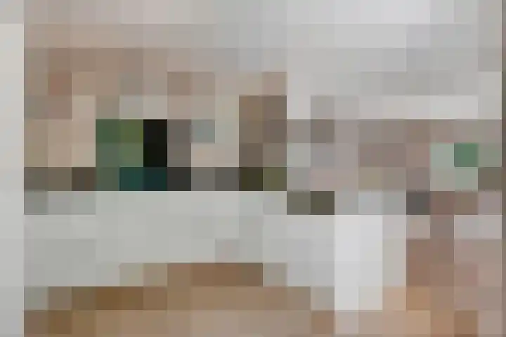 Ringmuur 10 Buren thumbnail 19