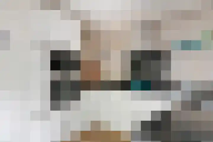 Ringmuur 10 Buren thumbnail 20