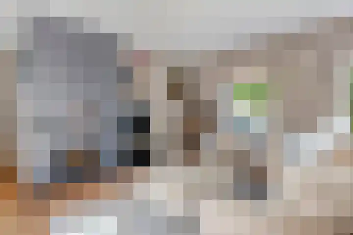Ringmuur 10 Buren thumbnail 27