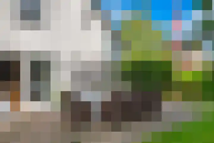 Ringmuur 10 Buren thumbnail 40