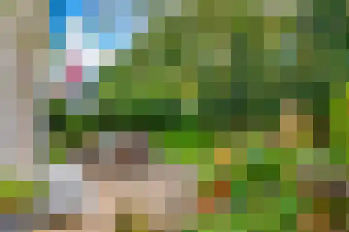 Ringmuur 10 Buren thumbnail 41