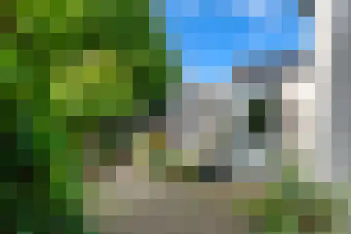 Ringmuur 10 Buren thumbnail 42