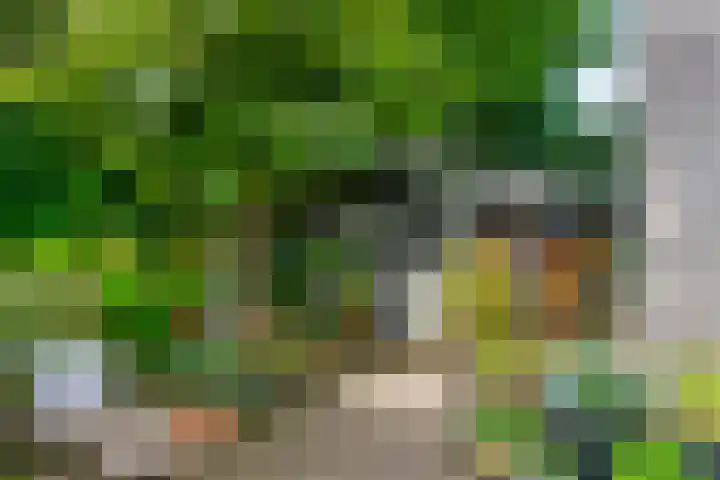 Ringmuur 10 Buren thumbnail 43