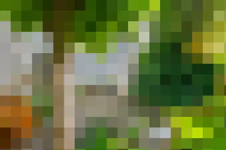 Ringmuur 10 Buren thumbnail 45