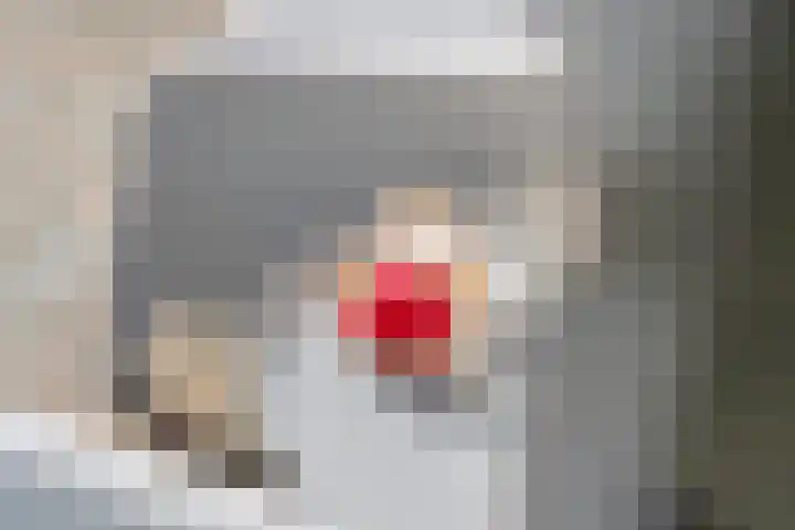 Ringmuur 10 Buren thumbnail 47