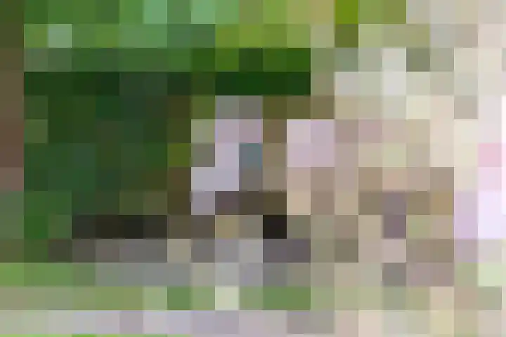Ringmuur 10 Buren thumbnail 49