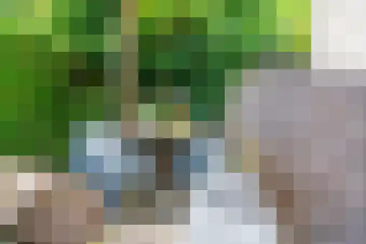 Ringmuur 10 Buren thumbnail 50