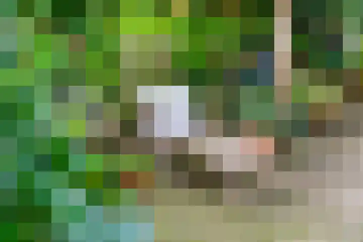 Ringmuur 10 Buren thumbnail 51