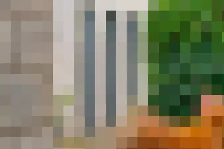 Ringmuur 10 Buren thumbnail 52