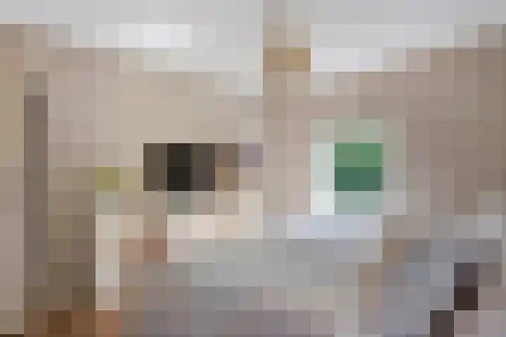 Ringmuur 10 Buren thumbnail 59