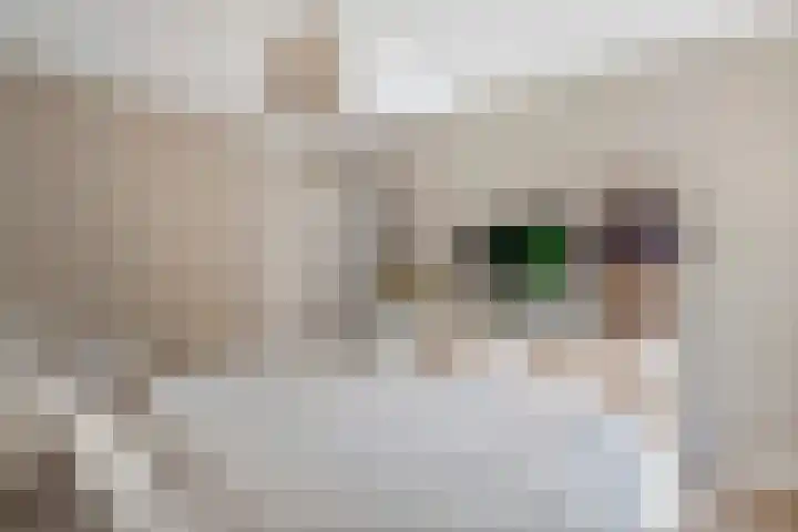 Ringmuur 10 Buren thumbnail 60