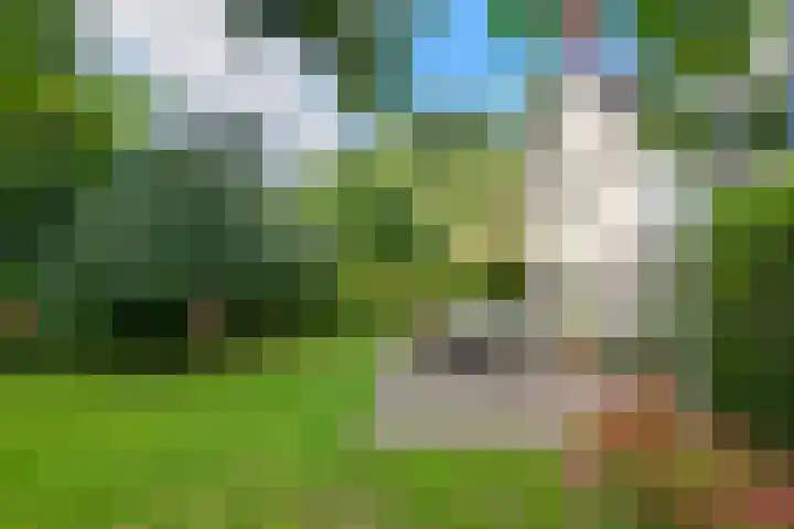 Ringmuur 10 Buren thumbnail 7