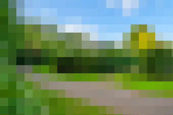 Ringmuur 10 Buren thumbnail 70