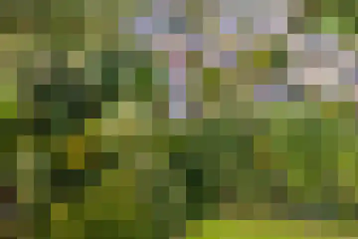 Ringmuur 10 Buren thumbnail 71