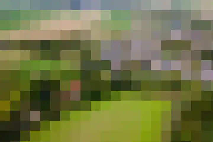 Ringmuur 10 Buren thumbnail 72