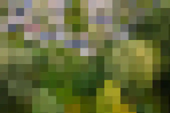 Ringmuur 10 Buren thumbnail 73