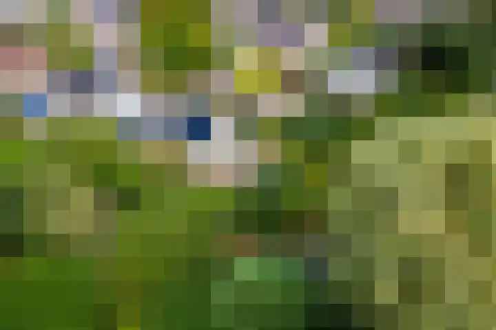 Ringmuur 10 Buren thumbnail 74