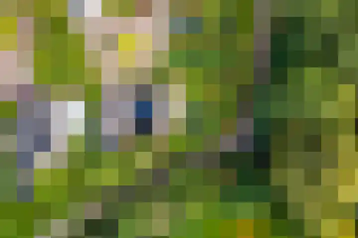 Ringmuur 10 Buren thumbnail 75