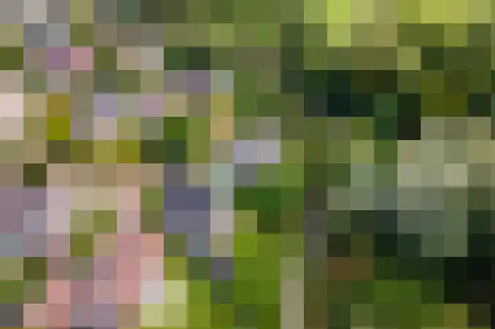 Ringmuur 10 Buren thumbnail 76