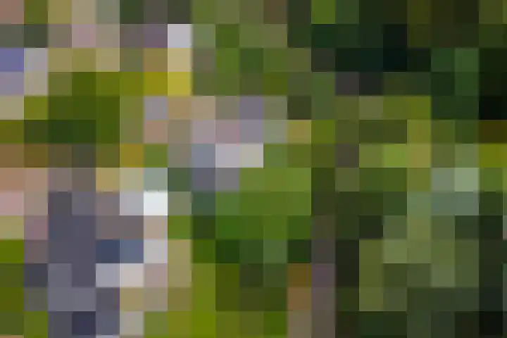 Ringmuur 10 Buren thumbnail 77