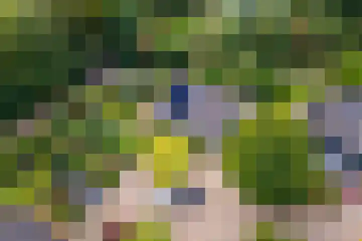 Ringmuur 10 Buren thumbnail 78