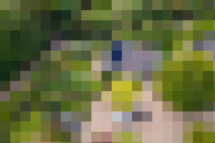 Ringmuur 10 Buren thumbnail 79