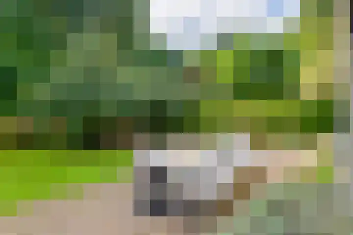 Ringmuur 10 Buren thumbnail 8