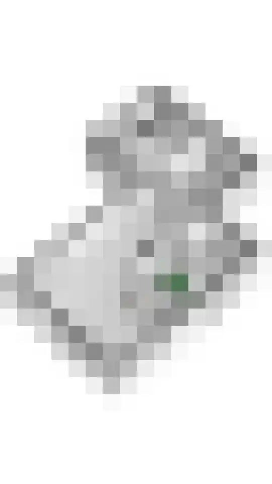 Ringmuur 10 Buren thumbnail 81